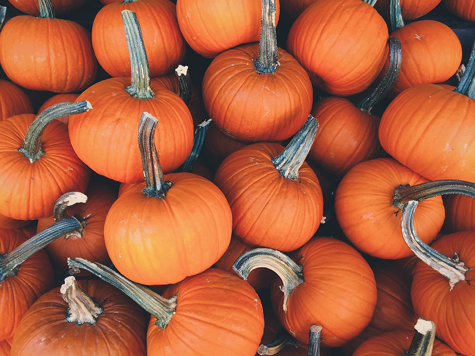 Decorate a Pumpkin: Ages 9+
